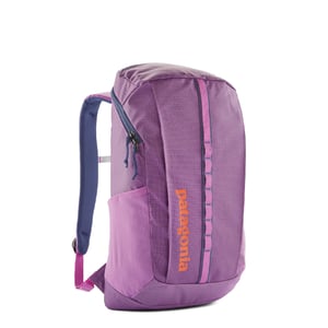 Patagonia Black Hole Pack 25L Brisk Purple