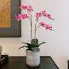 Artificial 2-Stem Phalaenopsis Pink Orchid