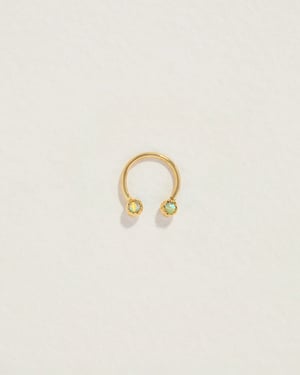 Circular Barbell
