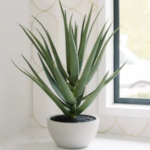 31.5" Artificial Agave Plant