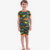 Colourblock Dino Short Pajama Set