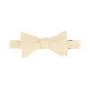 Robert Graham Solid Paisley Bow Tie