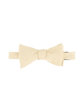 Robert Graham Solid Paisley Bow Tie