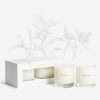 Holiday Candle Set