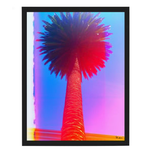 East Coast/ West Series: Napa Palm Mixed Media Photograph