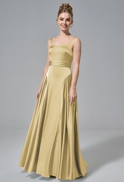 AW Cheney Dress