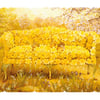 Daffodil Settee - Extra Difficult_MDT