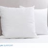 QE Home Feather Euro Pillow Insert, White
