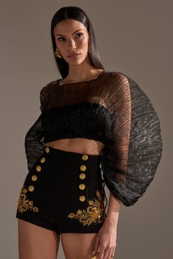 AKIRA Fortunes Favorite Sheer Long Sleeve Crop Top | Black | Size 1X/2X
