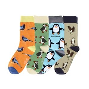 Feathered Rainbow Bundle of 4 | UK Adult 7-11
