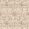 TARAXA  Wallpaper - Phlox