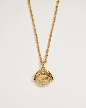 Aquarius Spinner Pendant