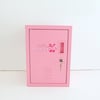 The Ultimate Locker Kit Pink