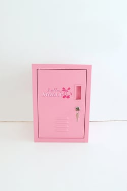 The Ultimate Locker Kit Pink