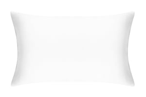 Brilliant White Pure Silk Pillowcase - Super King / Without