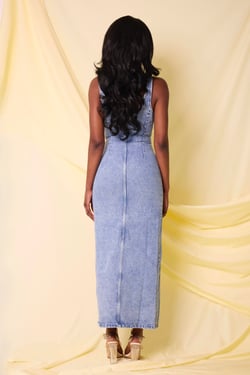 THE SELENE DENIM DRESS
