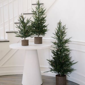 3' Pine Tree