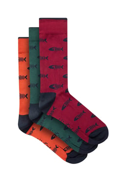 Weird Fish Ronan Branded Bones Sock 3pk Multi Size 7-11
