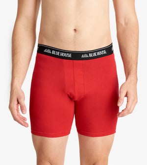 Mess With The Bull Men's Boxer Briefs