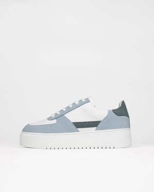 Limited Editions: The Apollo