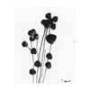 Catamount Garden Art Print