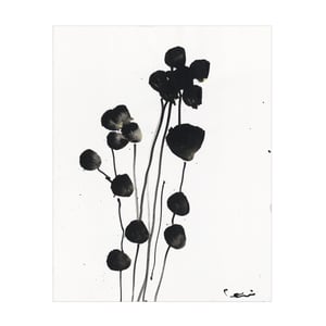 Catamount Garden Art Print