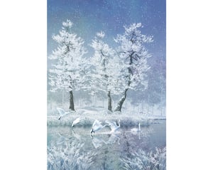 Swan Lake