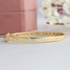 Flush Set Round Diamond Bangle - 950 Platinum / 2.20 Aani