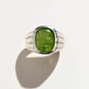 Scallop Signet - 2