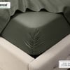 QE Home 500TC Eucalyptus Luxe TENCEL™ Lyocell Sheet Set Fitted Sheet in Bonsai Green, Double