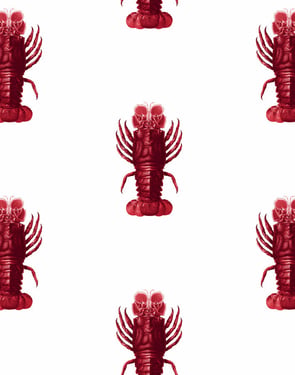 Jack The Crustacean' Wallpaper by Wallshoppe - Red - Traditional / 27 in. x 27 ft.