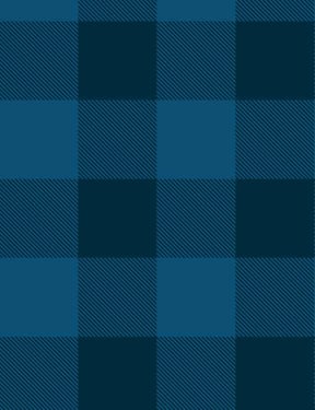 Check Baby Check' Wallpaper by Wallshoppe - Indigo - Traditional / 27 in. x 27 ft.