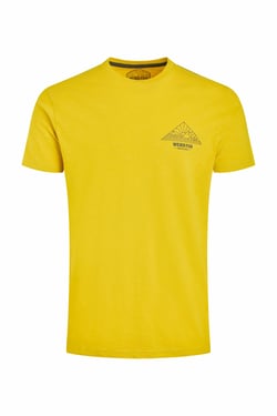 Weird Fish Pyramid View Back Print Graphic T-Shirt Antique Moss Size XL