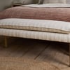 nkuku Kiana Cotton Upholstered Bench | Seating | One Size | Natural