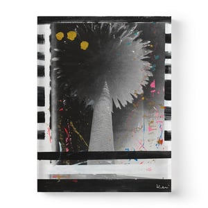 Palm Stripe No. 2 Mixed Media Photograph