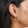 Halo Hoops Earrings Gold