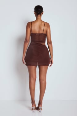The Ari Sheer Dress Brown