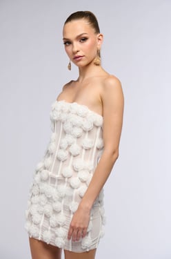 AKIRA The Secret Garden Mesh Mini Dress | Size Small