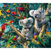 Koala Outback_T