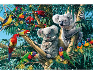 Koala Outback_T