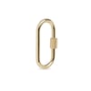 Classic Carabiner Large