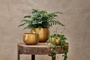 nkuku Atsu Brass Planter | Vases & Planters | Large | Antique Brass