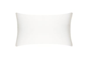 Ivory Boudoir Pure Silk Cushion Cover - 30x50cm