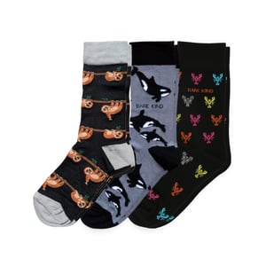 The Perfect Twilight Bundle of 3 | UK Adult 7-11