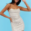 Mystical Sights Sequin Dress Beige