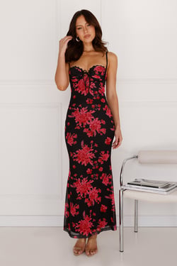 Best Wishes For You Mesh Maxi Dress Black