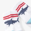 Boys Shark Silhouette Crew Socks