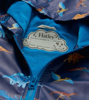 Boys Colourful Dinos Rain Jacket