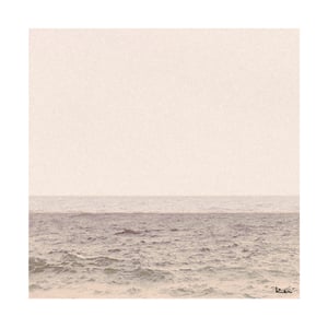 Faded Summer No. 1 Photograph