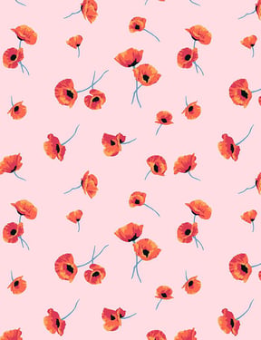Poppy' Wallpaper by Nathan Turner - Pink - Traditional / 27 in. x 27 ft.